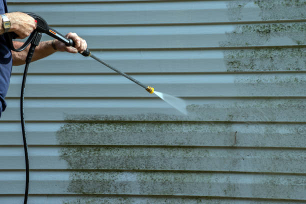 Best House Exterior Washing  in Peculiar, MO